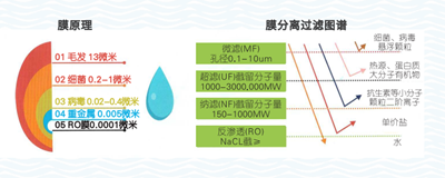 如何處理氨氮廢水的氨氮超標？